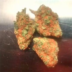 User uploaded image of Orange Velvet