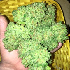 User uploaded image of Oregon Diesel