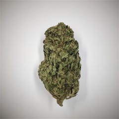 User uploaded image of Oregon Diesel