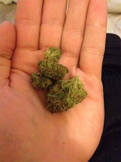 User uploaded image of Oregon Pineapple