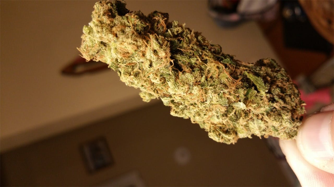 Oregon Pineapple Weed Strain Information Leafly