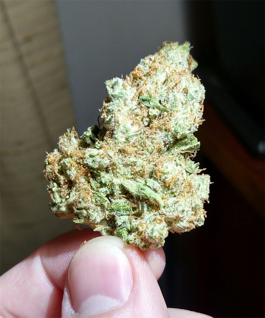 Oregon Pineapple Weed Strain Information Leafly