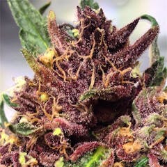 User uploaded image of Oregon Pinot Noir