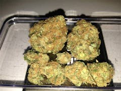 User uploaded image of Organic Diesel