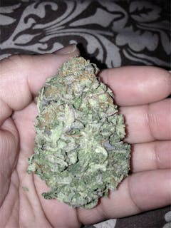 User uploaded image of Organic Diesel