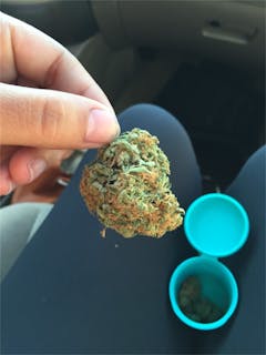 User uploaded image of Organic Diesel