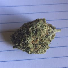 User uploaded image of Organic Diesel