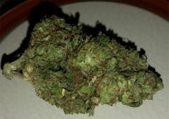 User uploaded image of Organic Diesel