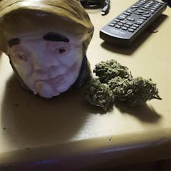 User uploaded image of Organic Diesel
