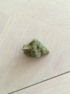 User uploaded image of Organic Diesel