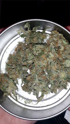 User uploaded image of Ortega