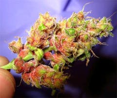 User uploaded image of Outer Space