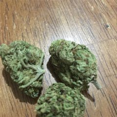 User uploaded image of P-91