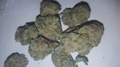 User uploaded image of P-91