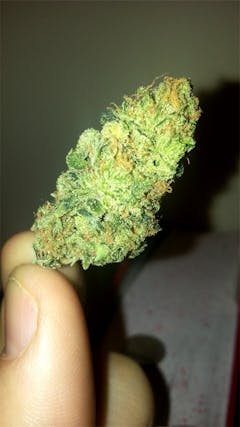 User uploaded image of P-51