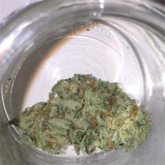 User uploaded image of P-91