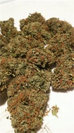 User uploaded image of P-91