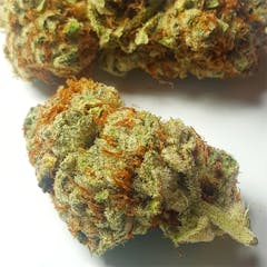 User uploaded image of Pacific Blue