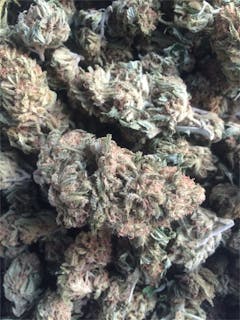 User uploaded image of Pagoda