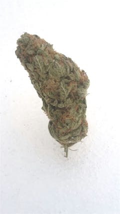 User uploaded image of Pakistan Valley