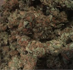 User uploaded image of Pakistan Valley