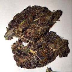 User uploaded image of Pakistani Chitral Kush