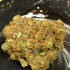 User uploaded image of Pakistani Chitral Kush