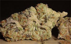 User uploaded image of Panama Punch