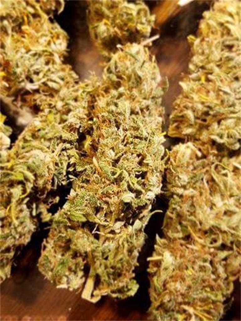 Panama Red aka Red Weed Strain Information Leafly