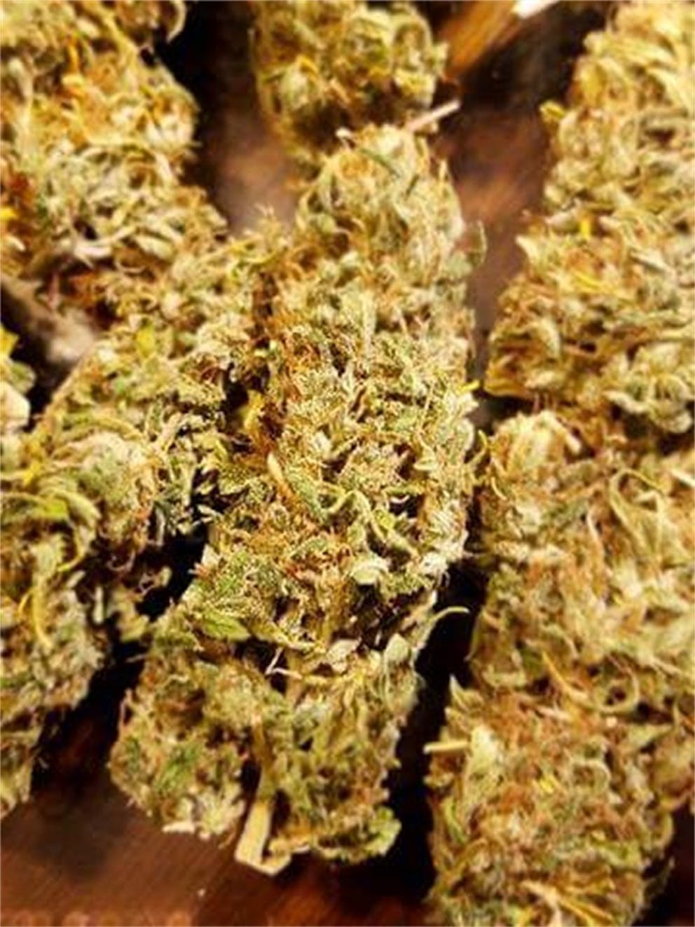 Photos of Panama Red Weed Strain Buds Leafly