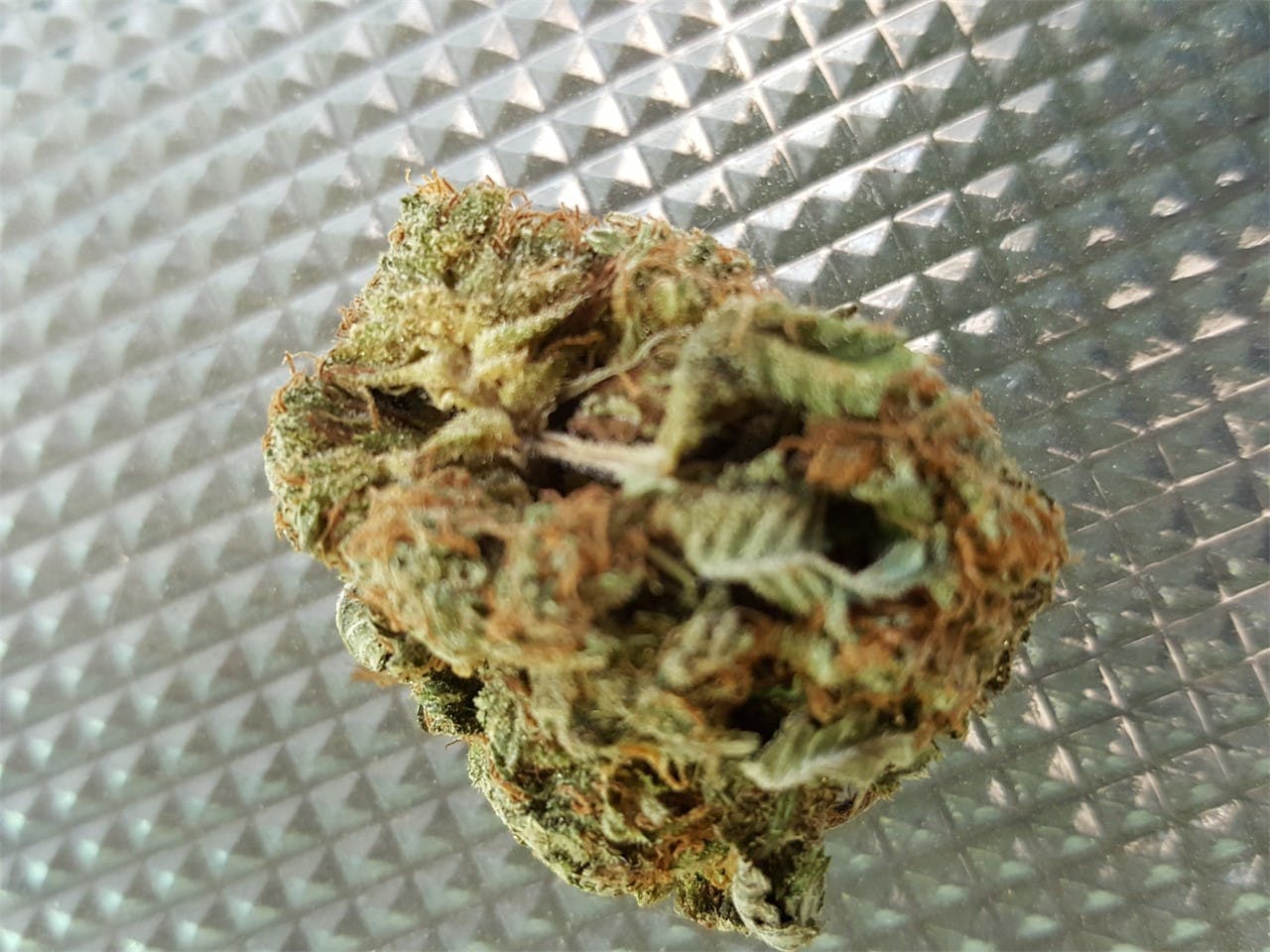 Panama Red Weed Strain Information Leafly