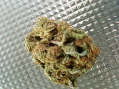 User uploaded image of Panama Red