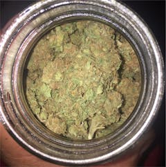 User uploaded image of Panama Red