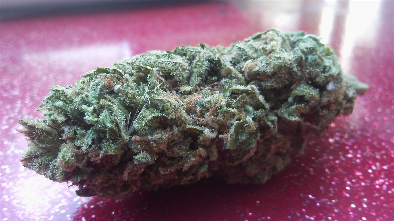 Fantastic Panama Red feminized strain - frequently asked questions