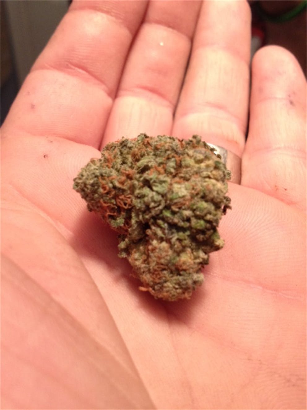 Photos of Panama Red Weed Strain Buds Leafly