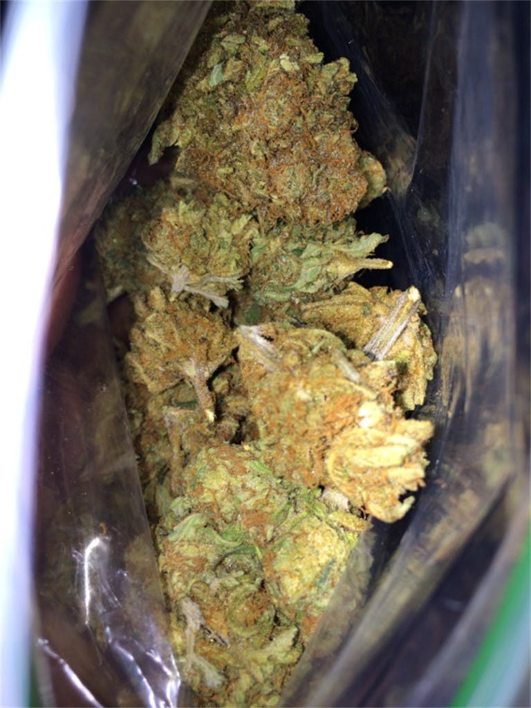 Panama Red Weed Strain Information Leafly