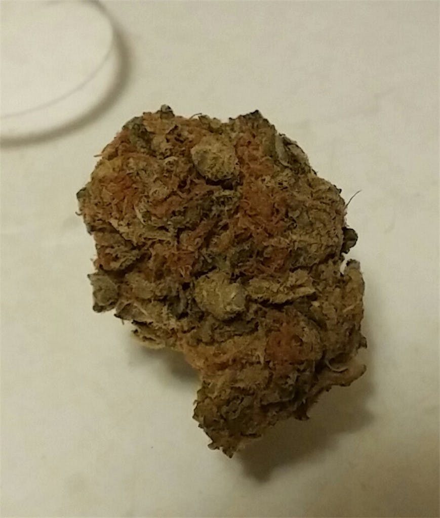 Photos of Panama Red Weed Strain Buds Leafly