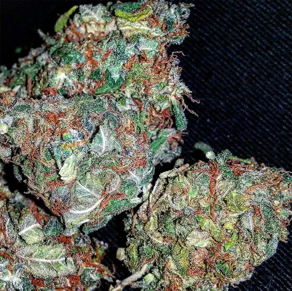 Photos of Panama Red Weed Strain Buds Leafly