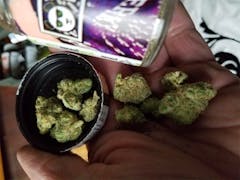 User uploaded image of Panda OG