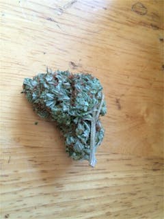 User uploaded image of Panda OG