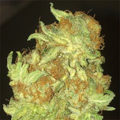 User uploaded image of Pandora's Box