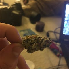 User uploaded image of Pandora's Box