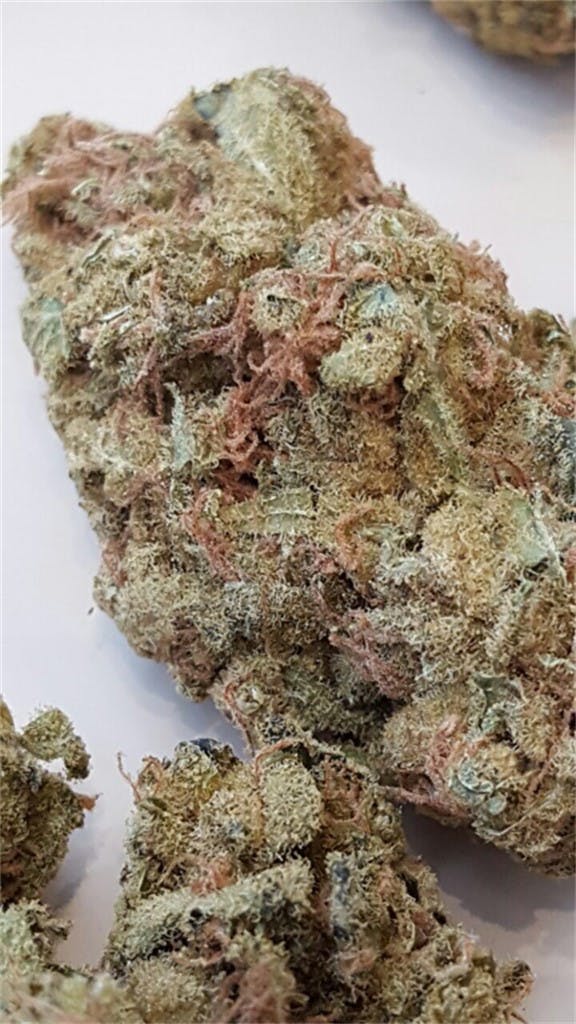 Pandora's Box Weed Strain Information Leafly