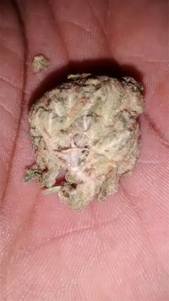 User uploaded image of Pandora's Box