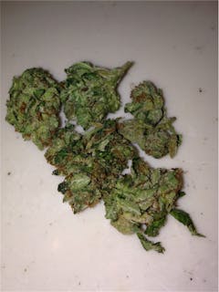 User uploaded image of Papa's OG