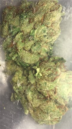 User uploaded image of Papa's OG