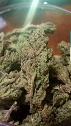 User uploaded image of Papa's OG