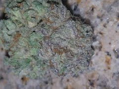 User uploaded image of Papa's OG