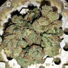 User uploaded image of Papa's OG