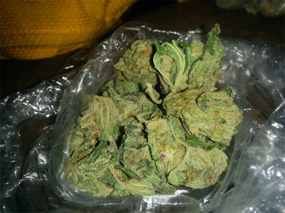 Photos of Papaya Weed Strain Buds Leafly